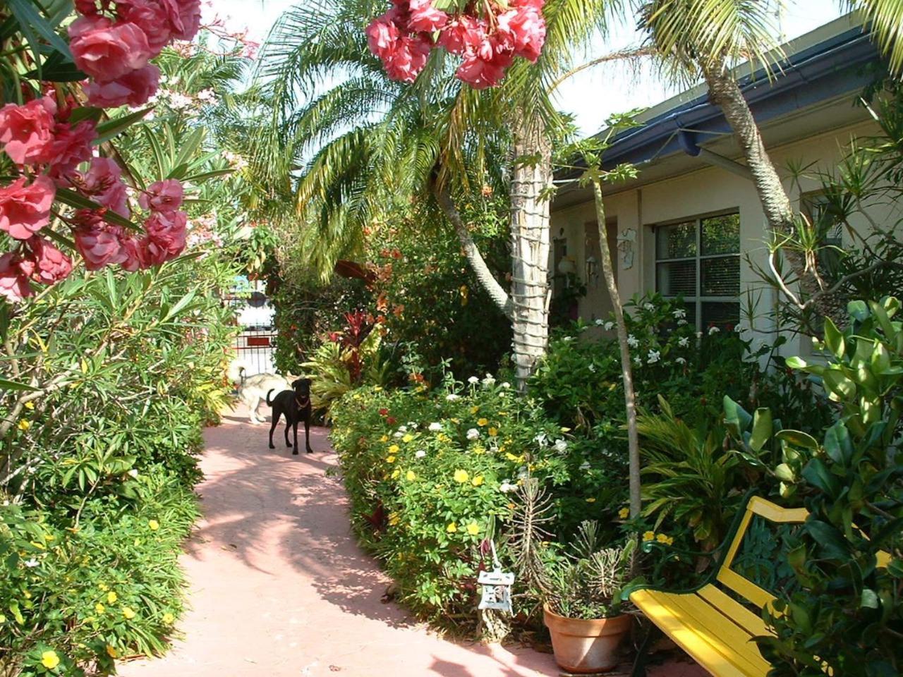 Affordable Beach Condos - One Bedroom Dlx Condos St. Pete Beach Dış mekan fotoğraf
