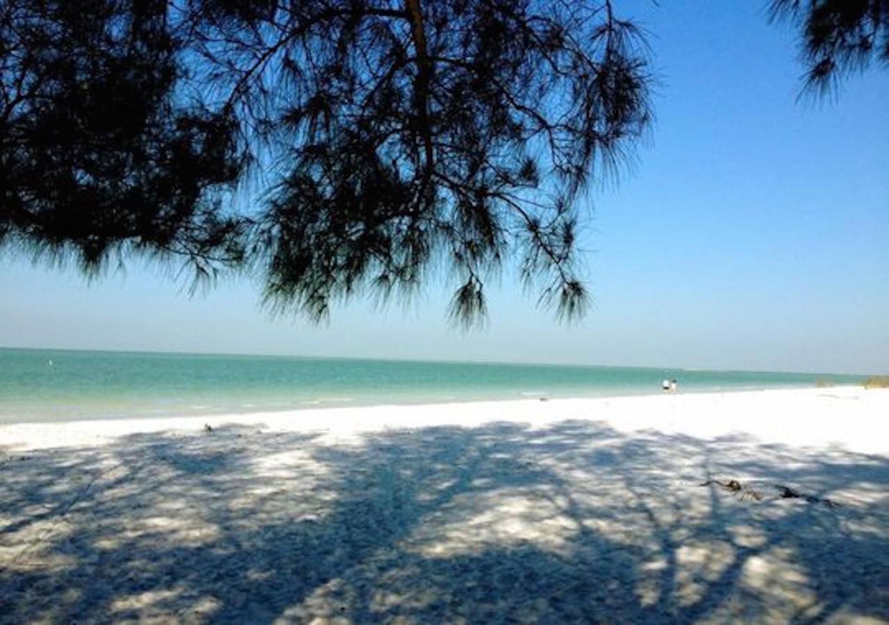 Affordable Beach Condos - One Bedroom Dlx Condos St. Pete Beach Dış mekan fotoğraf